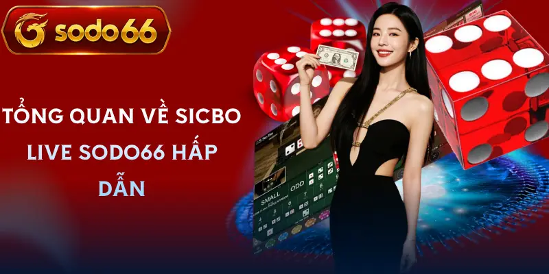 sicbo live sodo66 gioi thieu sicbo live sodo66 gioi thieu